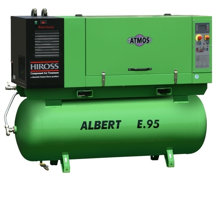 Albert E.95-10